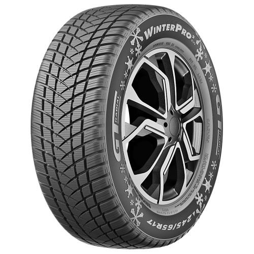 205/55 R 16 GT RADIAL WINTERPRO2 EVO 91 H
