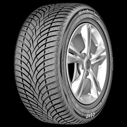 245/45 R 19 CEAT WINTERDRIVE SPORT 102 V