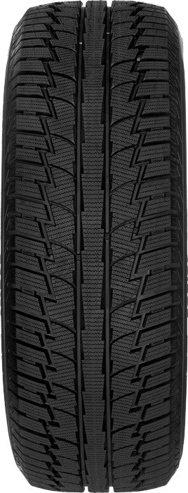 265/50 R 19 FORTUNA WINTER 110 H XL