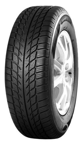 195/60 R 15 GOODRIDE SNOWMASTER SW608 88 H