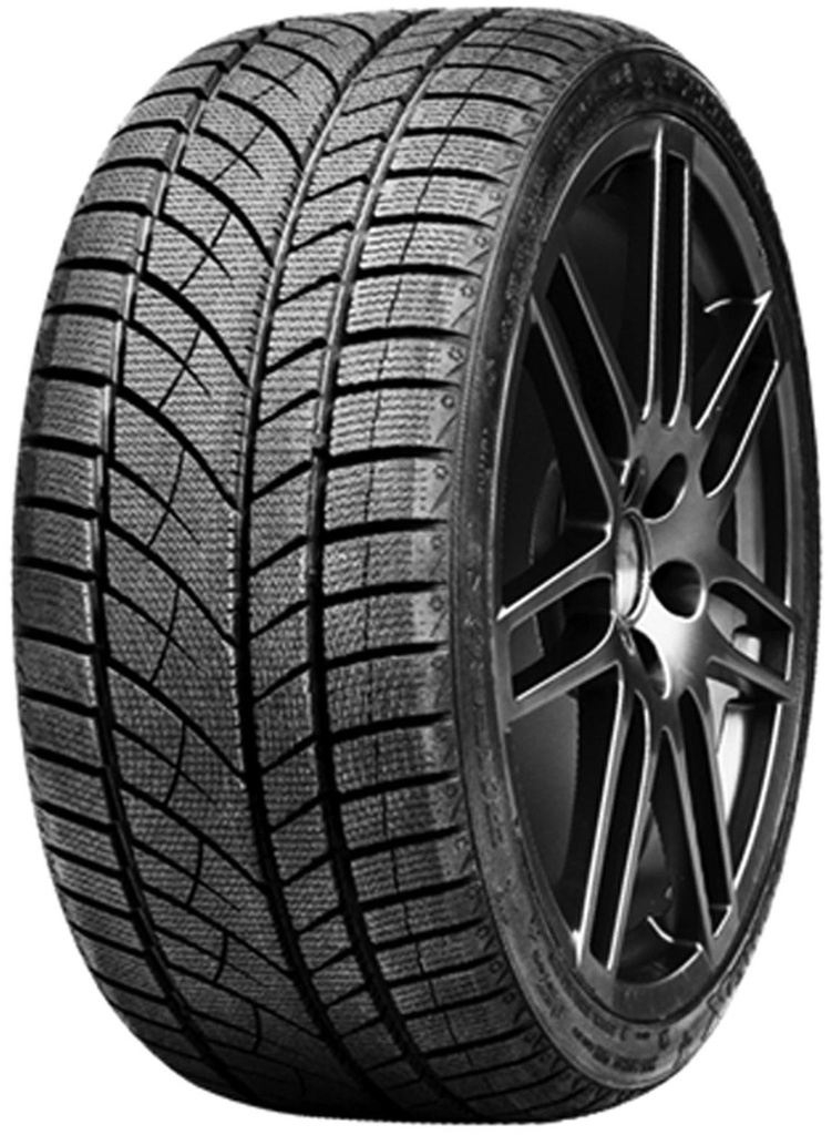205/55 R 17 ROADX RXFROST WU01 95 H