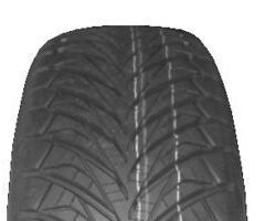 205/55 R 17 FORTUNE FITCLIME FSR-401 95 W